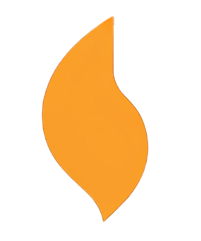 plomien logo fundacja